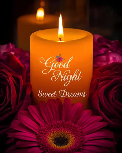 A glowing "Good Night, Sweet Dreams" candle surrounded by deep red roses and a magenta gerbera daisy creates a warm, soothing backdrop that complements the post's evening reflection on five projects—CNPYNetwork and quipnetwork among them—as the builder signs off for the night.