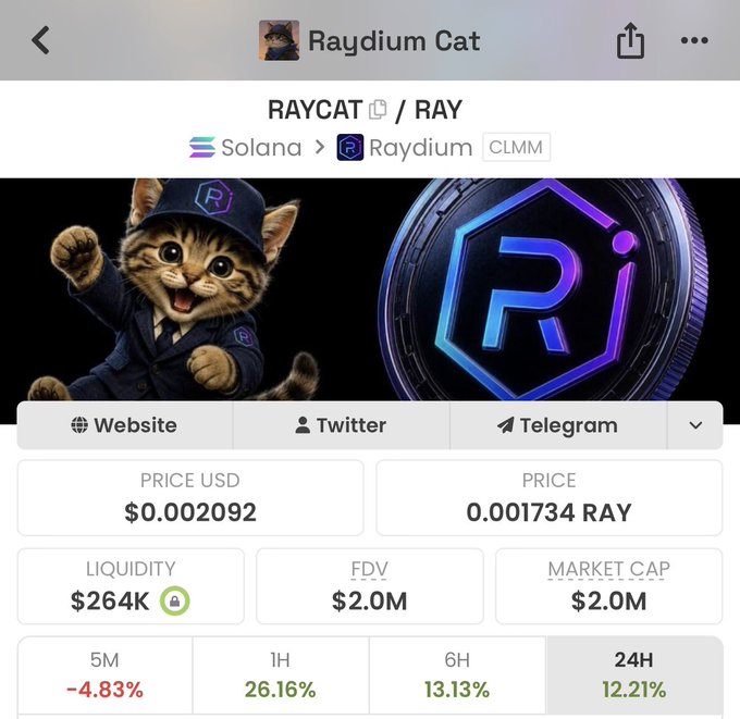 A cryptocurrency page showing 'RAYCAT' token information, with a price of $0.002092 USD and various market statistics.