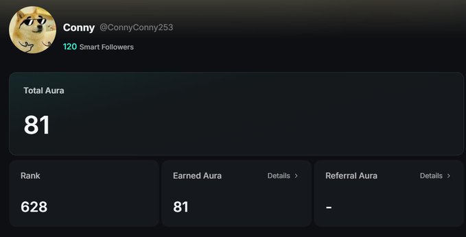 A screenshot of a profile for 'Conny @ConnyConny253' with 120 Smart Followers, showing a Total Aura of 81 and a Rank of 628.