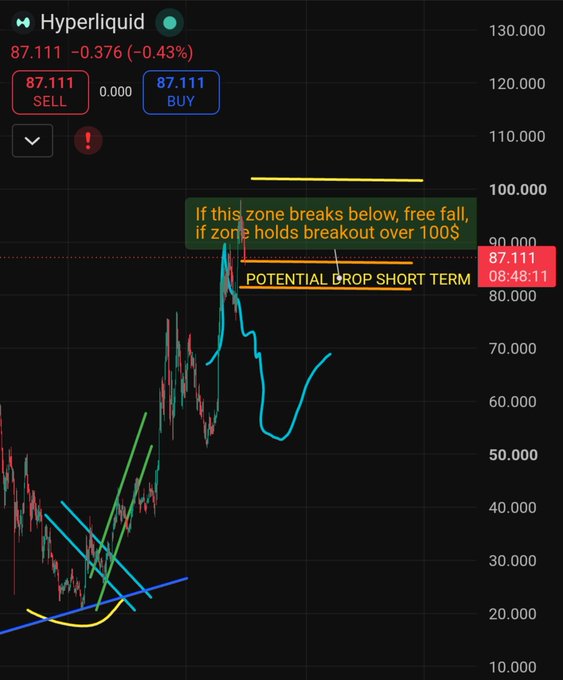 A TradingView chart of Hyperliquid (HYPE) at 87.111, showing a -0.43% decline with an annotation warning: 'If this zone breaks below, free fall, if zone holds breakout over 100$ POTENTIAL DROP SHORT TERM'.