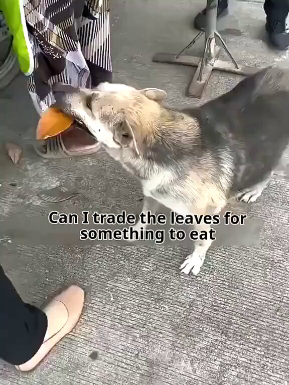 None