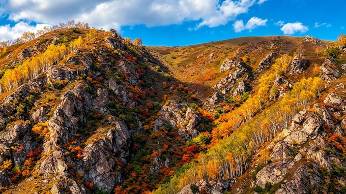 A scenic landscape photograph of a rocky hillside covered in vibrant autumn foliage with yellow and orange trees under a bright blue sky with scattered clouds.