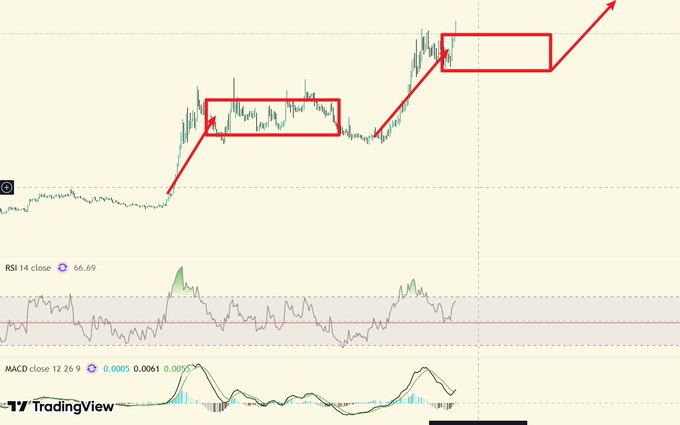 A TradingView candlestick chart showing a price action pattern with red rectangles highlighting consolidation zones, arrows pointing to a breakout, and RSI 14 (66.69) and MACD indicators displayed below.