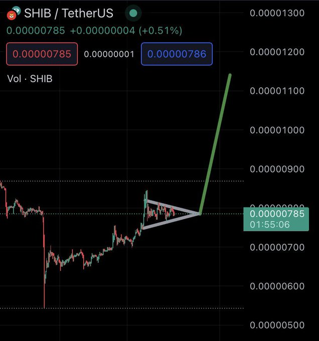 A trading chart for SHIB/TetherUS showing a price of 0.00000785 (+0.51%), with a highlighted pennant pattern breakout on the right side.
