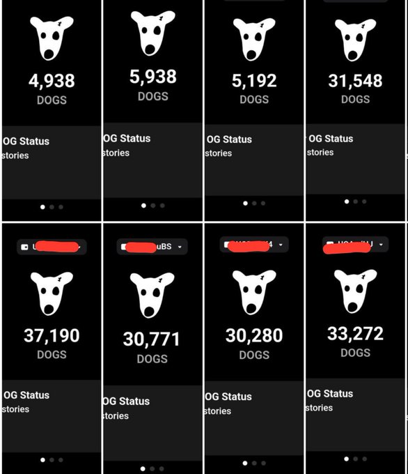 Screenshots showing dog-themed profiles with varying DOG counts ranging from 4,938 to 37,190, displayed with the title 'DOGS' and 'OG Status stories' labels.