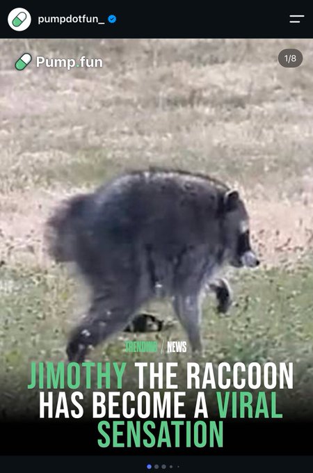 A post from pumpdotfun_ on Instagram featuring a raccoon, with the text "Pump fun" and a caption overlay reading "JIMOTHY THE RACCOON HAS BECOME A VIRAL SENSATION," tagged with the Breakroom News logo and marked as the first slide of an eight-image carousel.