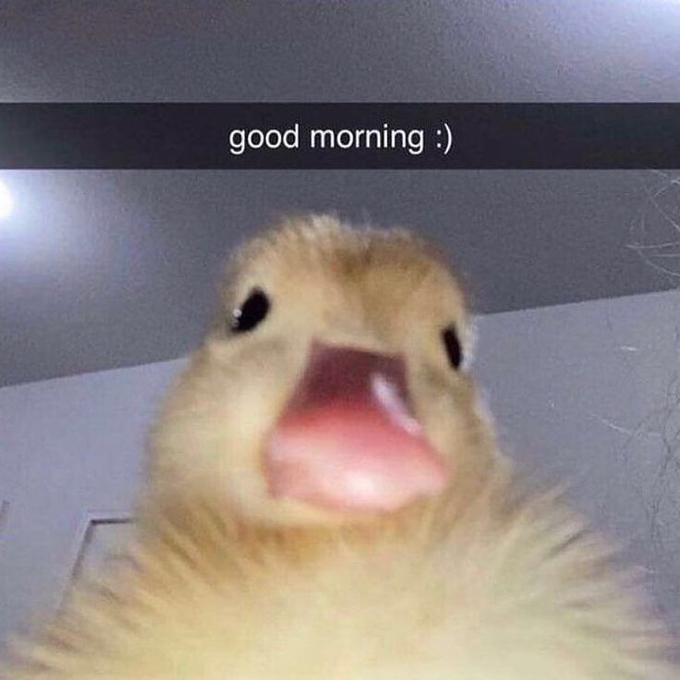 "Good morning everyone Can i get Gm??? Accumulating River Points on a daily basis through @River4fun while achieving an impressive 62% APR by staking $RIVER with @RiverdotInc is truly remarkable! The combination of chain-abstraction and satUSD liquidity across various".