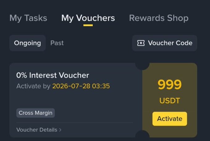 A screenshot from the Binance app showing an active "0% Interest Voucher" worth 999 USDT, which is available to activate by July 28, 2026. This image humorously highlights the user's claim of receiving rewards while still waiting for a significant market breakout.