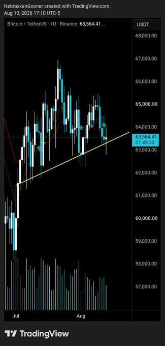 A TradingView daily candlestick chart of Bitcoin/TetherUS (BTCUSDT) on Binance shows price holding above a rising yellow trendline near $63,564 after a volatile stretch between roughly $57,000 and $67,000 since July. The chart visually supports the post's message of buyer resilience, as BTC defends the ascending support despite recent pullbacks.