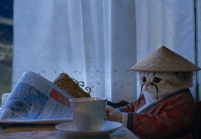 An animated white cat wearing a traditional Asian conical straw hat and an ornate red patterned robe sits at a table reading a newspaper next to a steaming teacup, with sheer white curtains in the background.