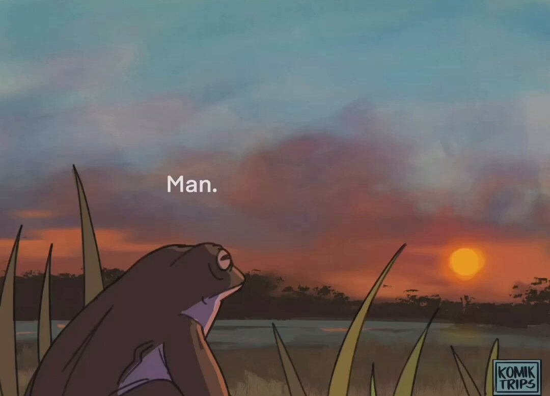 The image features a cartoon frog sitting in tall grass at sunset, with the text "Man." written above it. The scene appears to be set during an evening or dusk time of day when the sun is setting behind some trees.