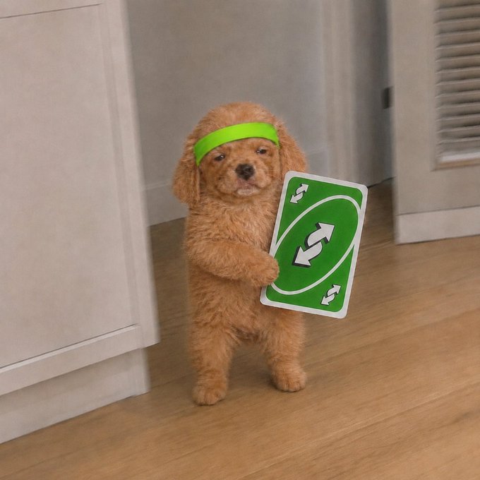 A fluffy brown puppy wearing a green headband stands on its hind legs holding a large green playing card with white directional arrows, positioned in a doorway. The image cleverly visualizes the Reddit post's question about "$robin" getting listed on Robinhood by featuring an actual pup dressed in green—the platform's signature color—suggesting a playful "reversal of cards" if the meme coin were to flip into a major exchange listing.