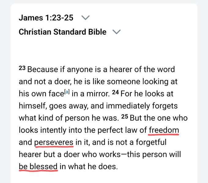 A screenshot from the Christian Standard Bible showing James 1:23-25, with the phrases 'law of freedom', 'perseveres', and 'be blessed' underlined in red.