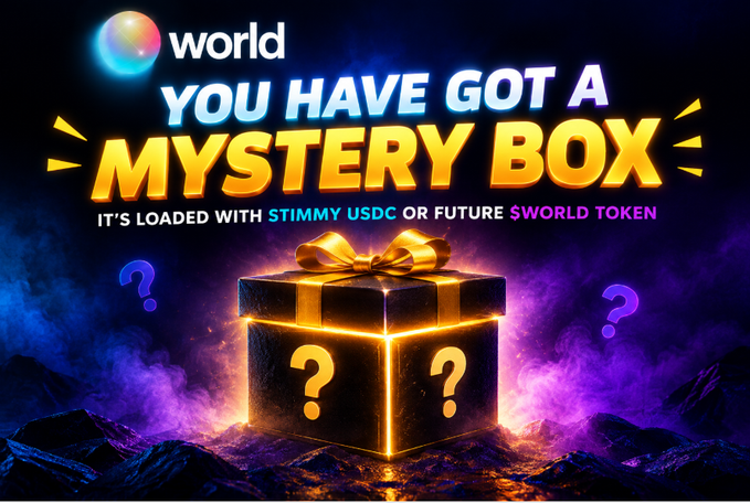 Promotional graphic with the world logo reading 'YOU HAVE GOT A MYSTERY BOX' loaded with $TIMMY $USDC or future $WORLD token, featuring a black and gold gift box.
