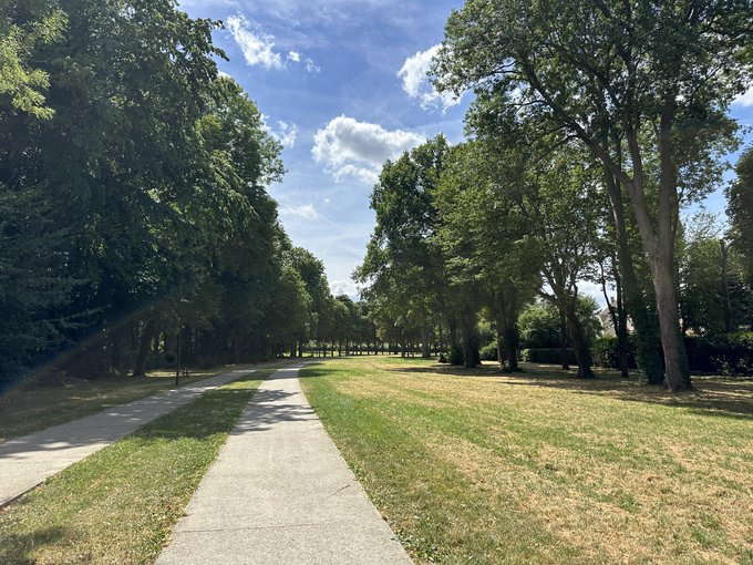 A sunny park scene with a paved path flanked by tall trees and a grassy field, matching the post's reference to a park setting ("here: 4~" suggesting the location).