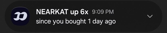 A dark notification banner from an app showing 'NEARKAT up 6x' with a timestamp of '9:09 PM' and the message 'since you bought 1 day ago', accompanied by a D logo.