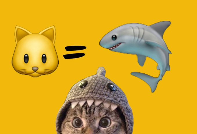 A humorous graphic on a yellow background showing a cat emoji equating to a shark emoji, with a real cat wearing a crocheted shark hat at the bottom.