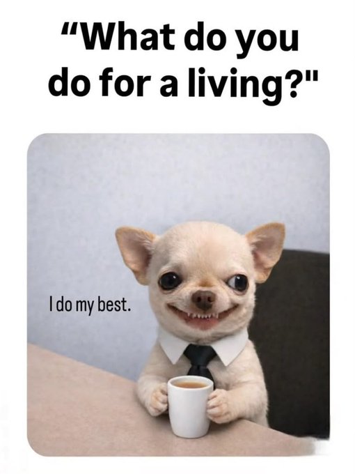 A meme featuring a small, smiling chihuahua wearing a white collared shirt and black tie, holding a mug of coffee, with the text 'What do you do for a living?' and the caption 'I do my best.'