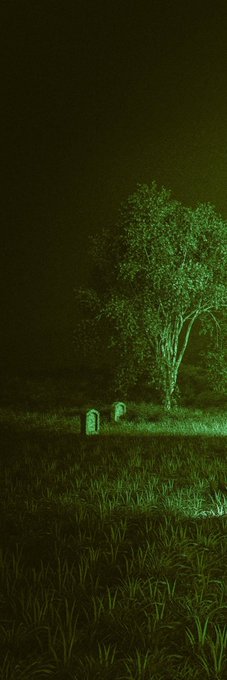 A night-vision-style, green-tinted photo of a tree and gravestones in a dark field.