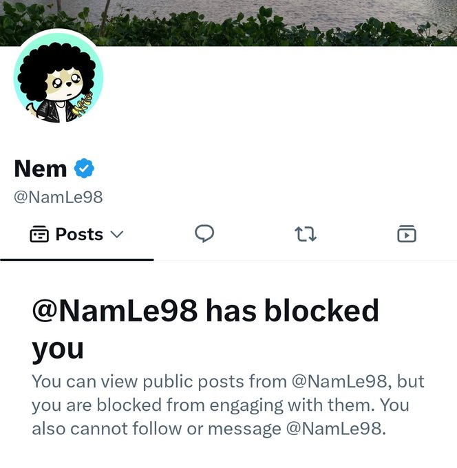 A screenshot of an X (Twitter) profile page for 'Nem' (@NamLe98) showing a message that '@NamLe98 has blocked you,' with an avatar of a cartoon character with curly hair.
