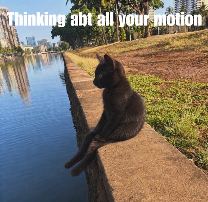 A black cat sits on a stone wall by water with the caption 'Thinking abt all your motion'.