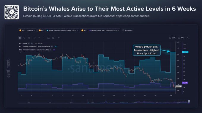 In this image, there are multiple charts showing the price movements of Bitcoin throughout its recent fluctuations. One chart displays a rise in activity as Bitcoin approaches the $71,000 level, with a spike in large transactions. Another chart shows a sharp decline in price movement, accompanied by fewer large transactions during that period. The text indicates that this information is being shared on Twitter or some other social media platform for people to learn about the current state of Bitcoin trading trends and active whale activity.