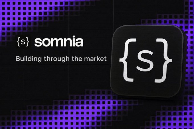 The image shows a square graphic with the text "SOMNIA" written above it, along with a black square containing a white "S" inside of it. The background features purple and blue lines that create an abstract pattern. Below this, there is a caption that reads "Building through the market".