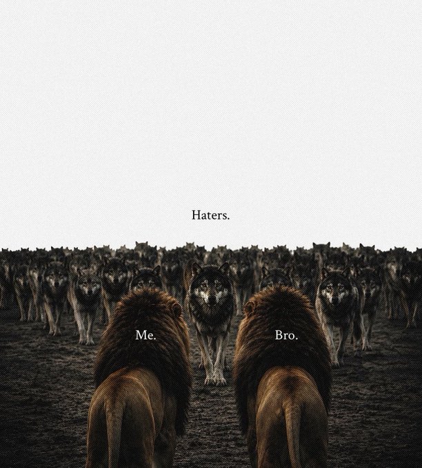 Two lions labeled "Me." and "Bro." (Ryker) stand facing a massive pack of wolves labeled "Haters." in the misty distance, symbolizing solidarity between the two allies as they confront a large group of critics together.

The image visually parallels the post by depicting the user and @Ryker_Crypto as a united front, with the overwhelming crowd of wolves representing the "haters" or critics they're pushing back against together while cleaning up the mess.