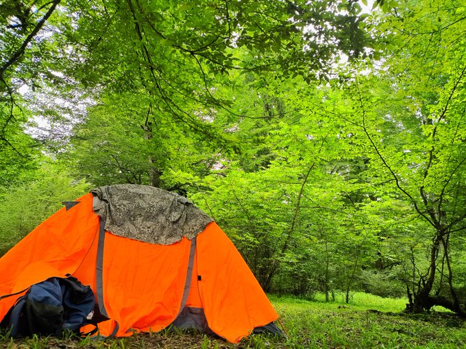 Bright outdoor scene of a vivid orange dome tent with a camouflage rainfly set up in a lush, green forest clearing.