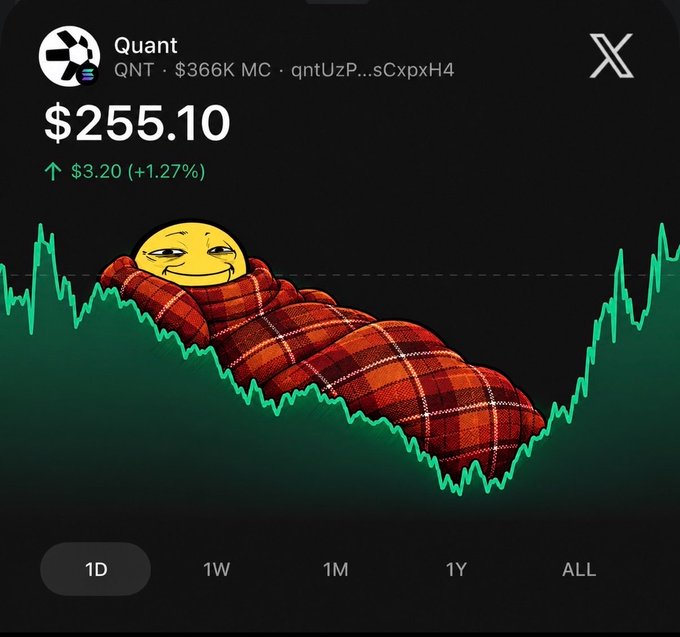 A cryptocurrency chart for Quant (QNT) showing a price of $255.10, up $3.20 (+1.27%), featuring a meme of a smug yellow face wrapped in a red plaid blanket lying in a dip of the green price line.