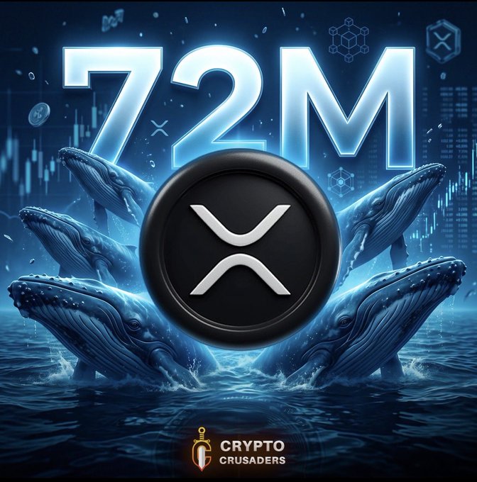 A dramatic crypto graphic showing the XRP logo encircled by breaching whales in a deep blue ocean, with "72M" displayed prominently above, visually illustrating the headline that XRP whales accumulated 72 million tokens in 24 hours. The "Crypto Crusaders" branding appears at the bottom, reinforcing the bullish accumulation narrative.