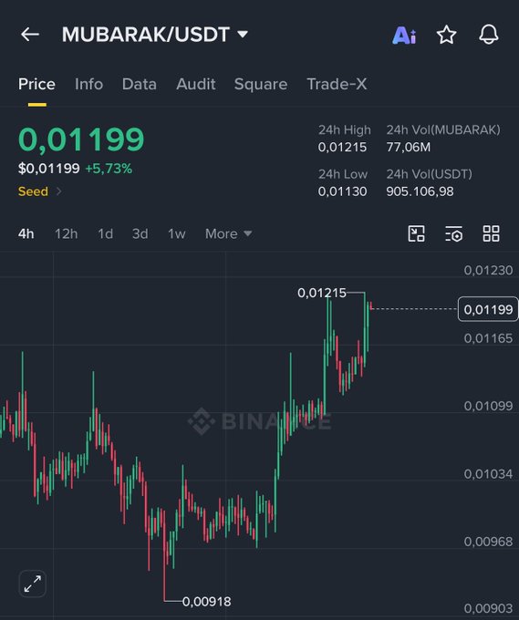 The image shows a Binance price chart for MUBARAK/USDT trading at $0.01199, up 5.73%, with a recent peak of $0.01215 and 24h volume of 77.06B MUBARAK against a low of $0.00918. This visual supports the caution against FOMO buying by highlighting the token's recent volatility spike—evidenced by the sharp rally and pullback—reinforcing the warning that CEX trading of low-cap BSC meme coins carries significant risk despite their seemingly low prices.