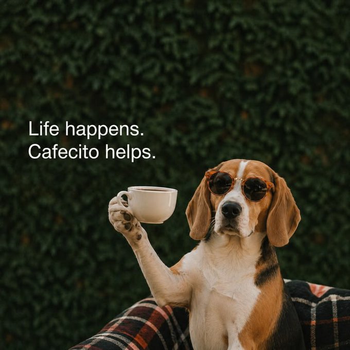 The image features a brown and white dog sitting on top of a couch, holding a cup of coffee with its paw. The background consists of green plants that create an outdoor setting for this scene. In the corner of the image, there's text that reads "Life happens. Cafe Coco helps." This message is related to the photo as it suggests that the dog might be enjoying a relaxing moment while sipping on some coffee.