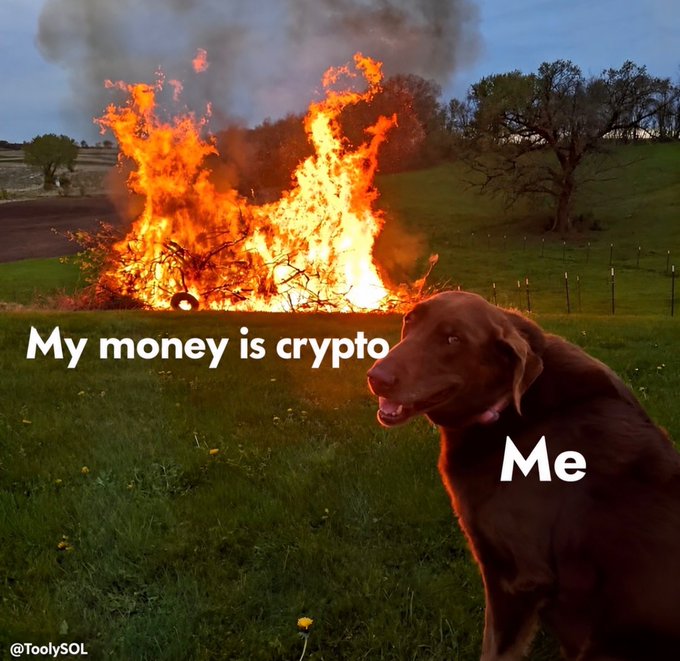 A meme showing a chocolate Labrador labeled 'Me' calmly sitting in a field while a large fire burns in the background labeled 'My money is crypto', credited to '@ToolySOL'.