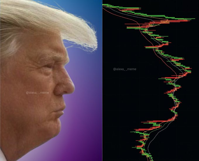A meme with the profile of Donald Trump on the left paired with a descending financial chart on the right, watermarked with '@alexa__meme'.