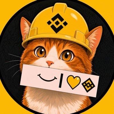 A circular logo features an orange tabby cat wearing a yellow construction hard hat emblazoned with the Binance logo, holding a sign that reads "I ❤ Binance." The image playfully ties into the $BNBCAT token by blending Binance branding with the cat mascot theme.