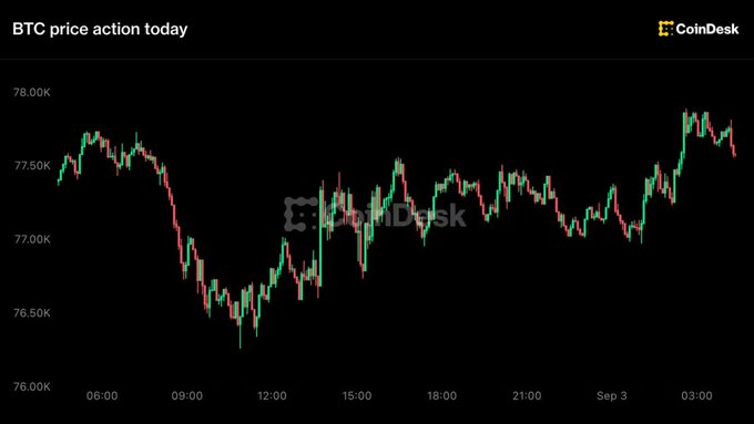 A CoinDesk chart titled "BTC price action today" shows Bitcoin's intraday movement between roughly $76,250 and $77,750, recovering from a midday dip near $76,500 to climb back above $77,500 by Sep 3. This visual confirms the headline claim that BTC reclaimed the $77,500 level amid shifting Fed rate-hike expectations.
