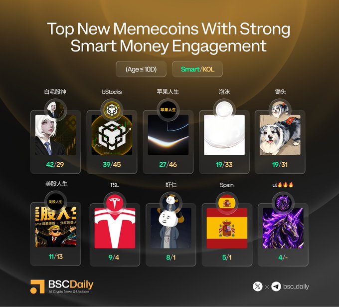 The image features a poster with a list of meme coins, each accompanied by its rating or score. The meme coins include "Top New Memecos With Strong Smart Money Engagement", "Age 1", "Smart KOL", "TSL", "Country", and "Country/Region". The poster also includes some text in Chinese that reads: "Top New Memecos With Strong Smart Money Engagement @LightAxiom $bStocks 苹果人生 泡沫 @Trac1 @MGRSbnb $TSL ... [0.43, 0.63, 0.6, 0.81]".