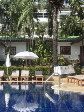 A poolside scene at a tropical resort, complete with palm trees, lounge chairs, and a white umbrella beside the water, captures the leisurely setting where the poster was relaxing when they noticed a dramatic drop in Pirlo's odds on Polymarket from 99% to 3% amid a sudden sponsorship controversy in Italy. The calm, sunny atmosphere contrasts sharply with the unexpected market shift they stumbled upon while unwinding.