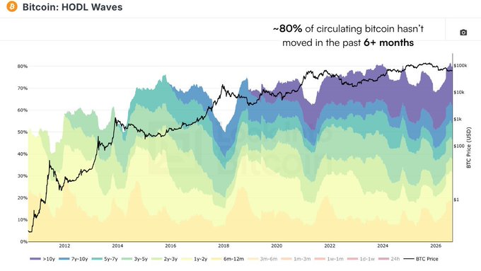A stacked area chart titled "Bitcoin: HODL Waves" showing that approximately 80% of circulating Bitcoin hasn't moved in the past 6+ months, with the dark purple ">10y" band dominating the upper portion of the chart and the BTC price (black line) trending upward to $100k by 2026—visually reinforcing that long-held, dormant coins act as illiquid supply rather than sell pressure, making them unavailable for future buyers.