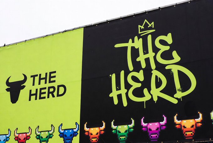 A billboard displays "THE HERD" in graffiti-style text alongside a bull logo, with pixel-art bull skulls in various colors lining the bottom. The promotional image relates to the tweet announcing that CQ pass holders can mint during The Herd's GTD (Guaranteed) phase, with a snapshot being taken within 5 hours.