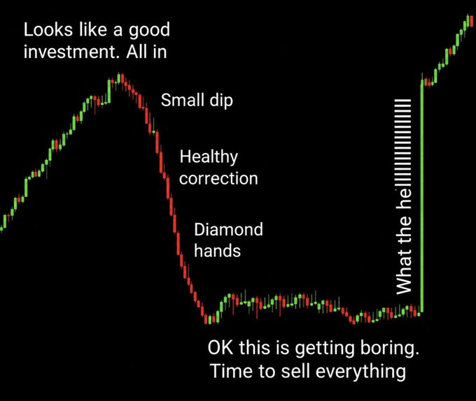 Meme chart satirizing crypto investor behavior across price cycles, labeling dips as 'Small dip,' 'Healthy correction,' 'Diamond hands,' and finally 'What the hell' before a recovery, with the initial 'Looks like a good investment. All in' remark.