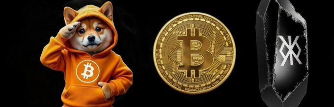 The image features a dog wearing an orange hoodie, with a Bitcoin symbol on its chest. The dog appears to be posing for the camera while wearing the hoodie. In the background of the image, there are two other objects - one is a black and white crystal, and the other is a gold coin. These objects are placed in front of the dog's position, creating an interesting composition within the frame.