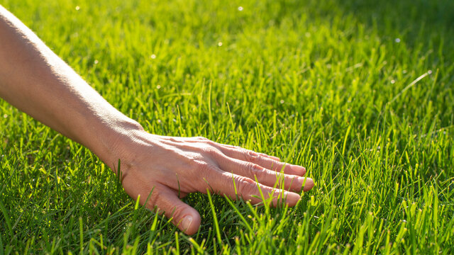 A person's hand gently brushes through vibrant, sunlit green grass, evoking a sense of calm and connection with nature—a perfect visual reminder to slow down and spend time outdoors today.