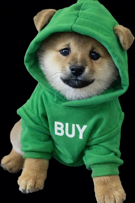The image features a small brown dog wearing a green hoodie with the word "BUY" written on it, sitting or laying down against a black background. The caption of the image reads "Who else pushed the BUY button on $DOG today". This suggests that someone has posted about the dog's outfit and possibly tagged them in their post as well.