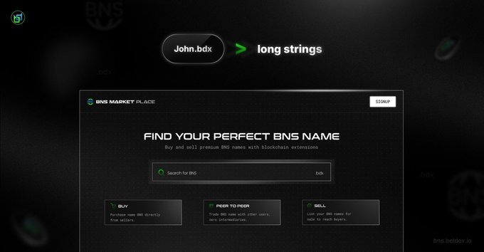 A screenshot of a website titled 'BNS MARKET PLACE' with the heading 'FIND YOUR PERFECT BNS NAME', displaying a search bar for '.bdx' names and options to 'BUY', 'PEER TO PEER', and 'SELL'.