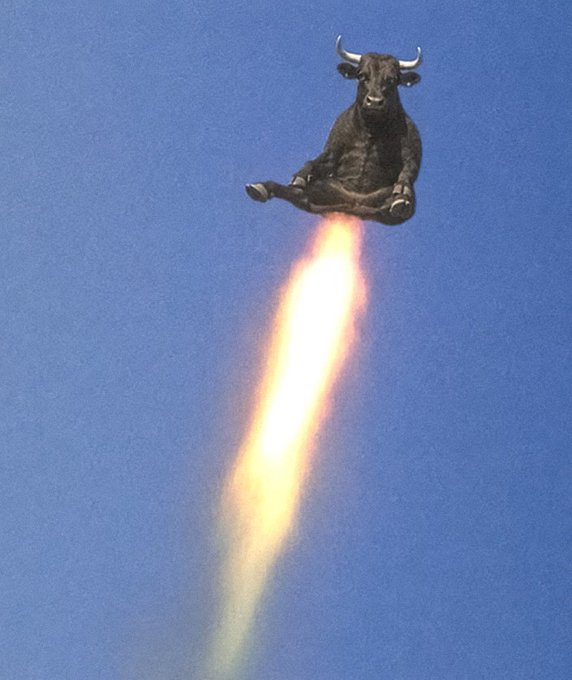 A surreal image shows a black bull sitting cross-legged in a meditative pose, flying through a blue sky propelled by a rocket flame from its rear.