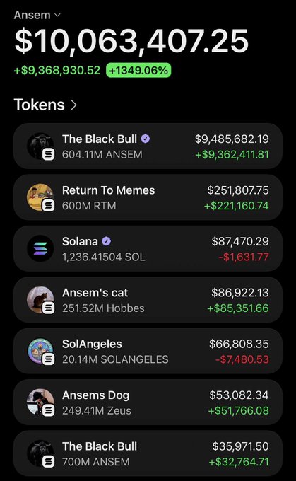 The image displays Ansem's crypto portfolio totaling $10,063,407.25 (+1349.06%), with top holdings including The Black Bull ($9.48M), Return To Memes ($251K), Solana ($87K), Ansem's cat ($86K), SolAngeles ($66K), Ansems Dog ($53K), and a second Black Bull position ($35K). This directly supports the post's claim about Ansem's wallet surpassing 10M, showcasing the meme token holdings that have driven his massive gains.