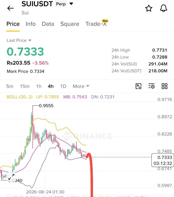 Binance SUIUSDT Perp trading chart showing a last price of 0.7333 USDT (Rs203.55, -3.56%) with Bollinger Band indicators and a 4h candlestick view, where the price has declined sharply from a high of 0.9555.