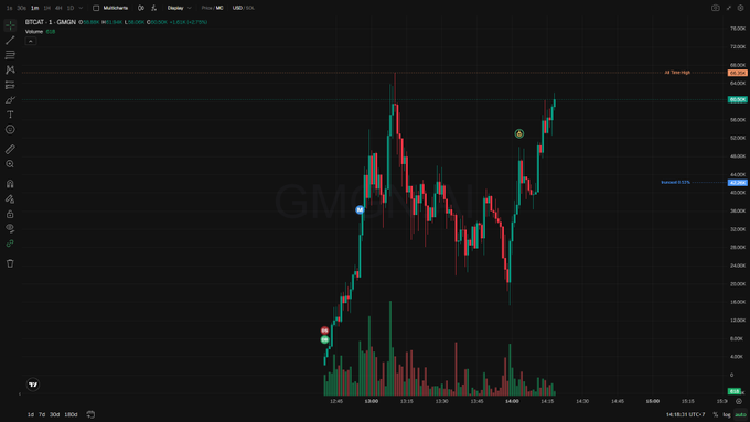 The image is a screenshot of an Excel spreadsheet that displays a graph with various stock symbols such as Gm, XM, XR, Bb, Lpq, Wwg, Rt, Etc, Zlk, Pc, and others. The chart indicates whether the corresponding stock symbol has gone up or down. There are several lines on this chart that represent different stocks. At least one of these lines shows an upward trend in value, which suggests a positive indication for investing in the specific stock symbols shown in the screenshot.